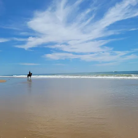 בית נופש L'escapade, Quartier Calme, Proche Bord De משר-סור-ג'ירונדה