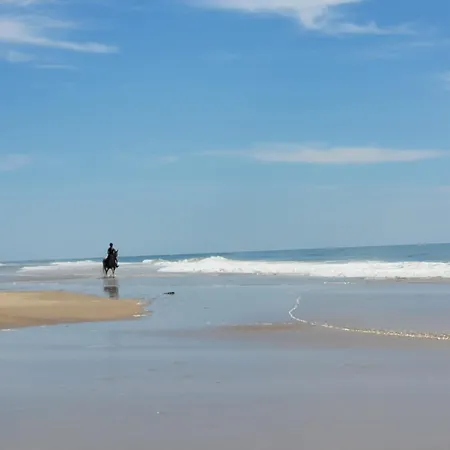 L'escapade, Quartier Calme, Proche Bord De * Meschers-sur-Gironde