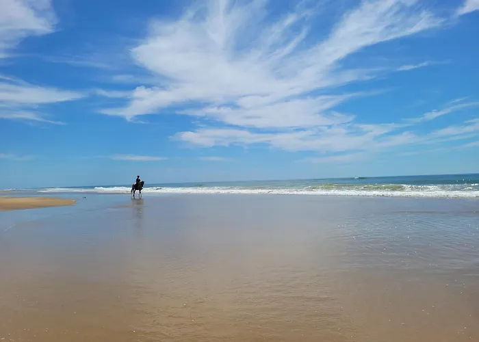 Сasa de vacaciones L'escapade, Quartier Calme, Proche Bord De Meschers-sur-Gironde