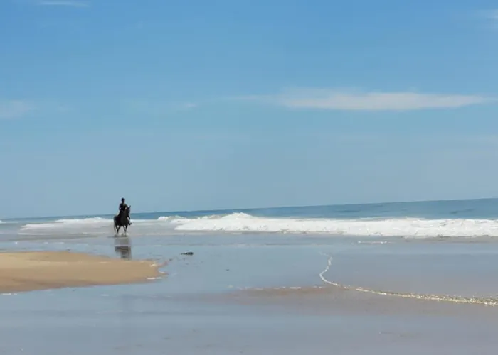 L'escapade, Quartier Calme, Proche Bord De * Meschers-sur-Gironde